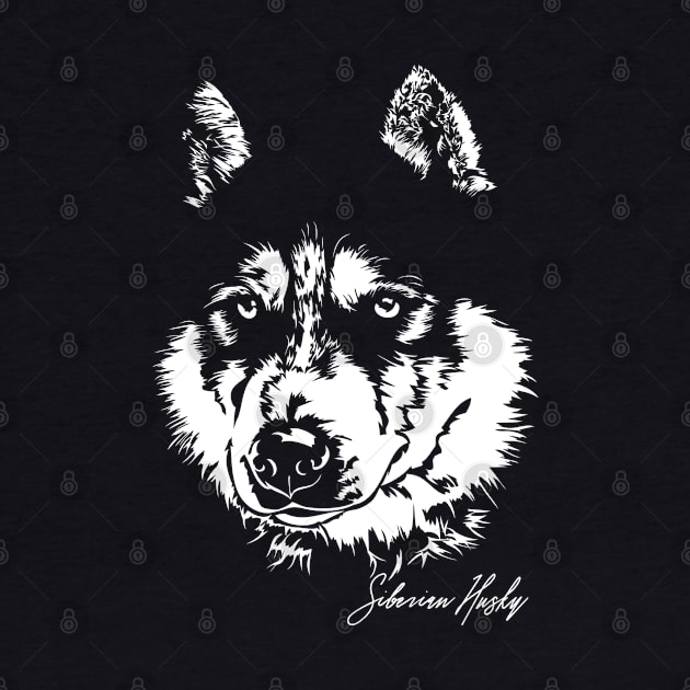 Siberian Husky sled dog portrait by wilsigns